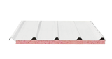 Shengqian sandwich panel
